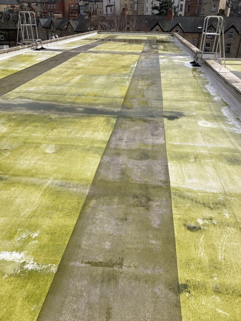 Before we cleaned the Harrogate Convention Centre roof